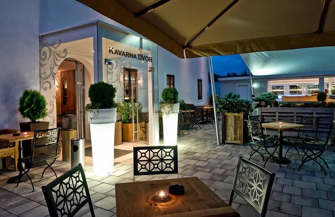 B&B Dvor Tacen-1